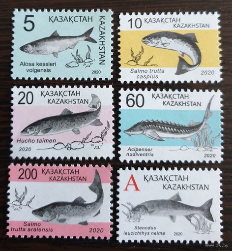 2020 Рыбы Казахстана