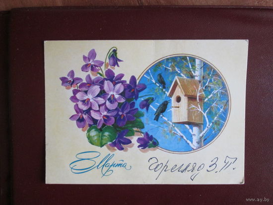 Почтовая открытка.СССР.1981г.