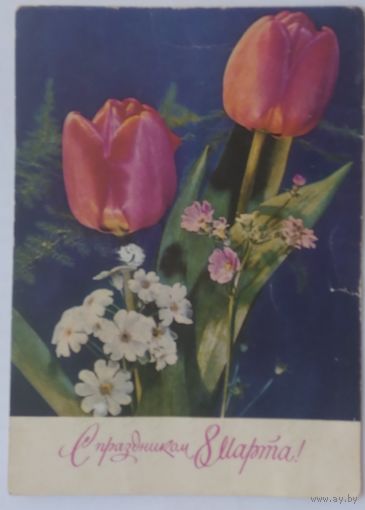 Почтовая карточка ,,8 марта ,, 1970, подписана