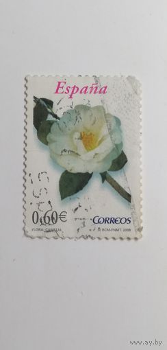 Испания 2008. Флора