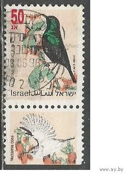 Израиль. Птицы. Скворец стенолаз. 1993г. Mi#1257.