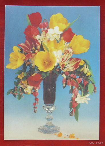 Цветы. Чистая. 1994 года. Агладзе. 1860.