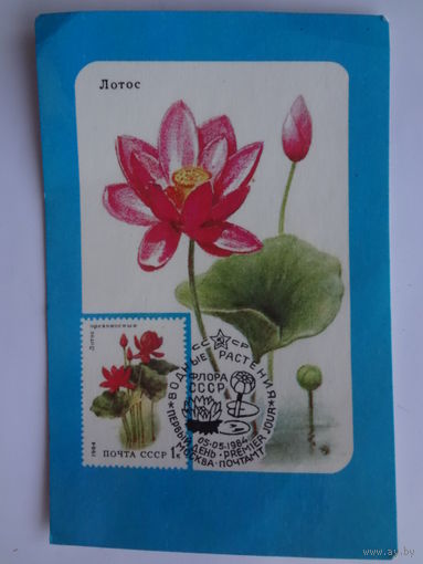 Календарик 1989 г.  Лотос.