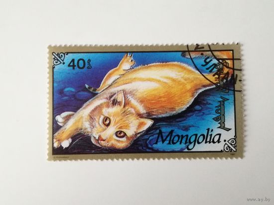 Монголия 1991. Коты и кошки