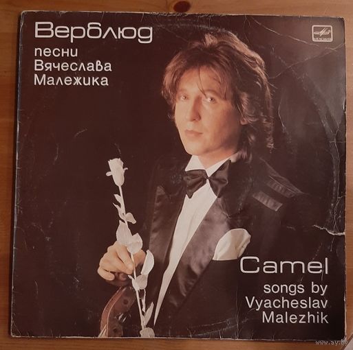Вячеслав Малежик - Верблюд