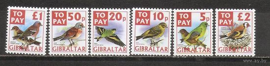 ФФ1 Гибралтар 2002 Птицы