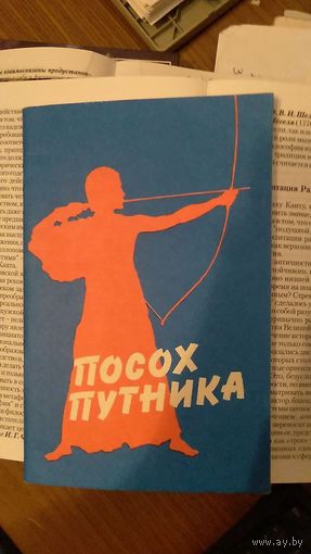 Посох путника