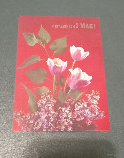 Открытка "1 мая" фото И. Дергилева 1989г. чистая