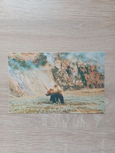 Открытка 1986