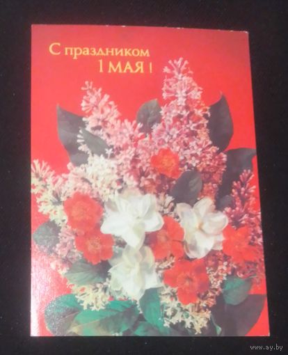 С праздником 1 Мая!(фото И.Дергилева).