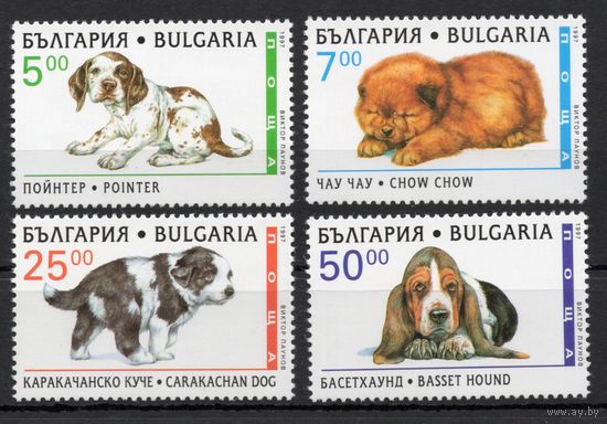Болгария 1997. Собаки  4 марки  (4265)