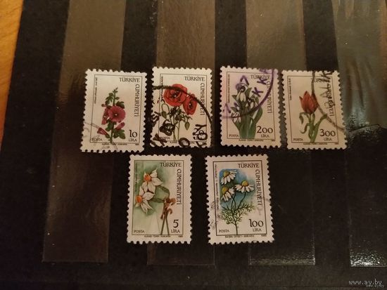 Турция флора цветы (3-13)