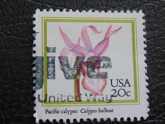 США. Флора.