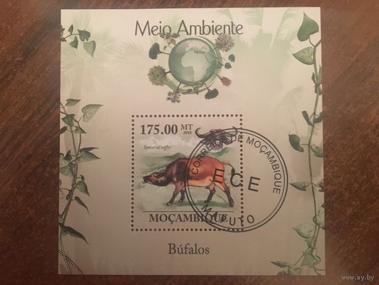 Мозамбик 2010. Африканский буйвол (блок)