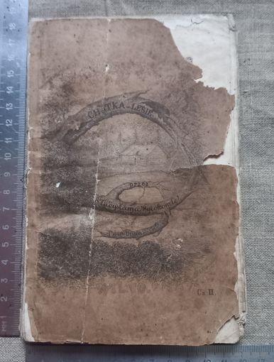 С рубля редкая книга 1856 года RRR CHATKA W LESIE Wladyslawa Syrokomle Wilno Хижина в лесу Владислава Сырокомля прижизненное издание