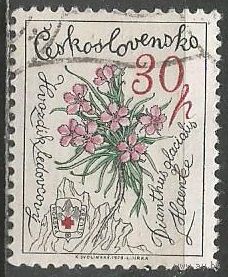 Чехословакия. Цветы. Ледниковая гвоздика. 1979г. Mi#2496.