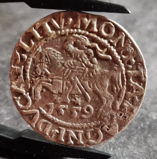 С РУБЛЯ! много лотов, Полугрош, 1/2 гроша 1559 года, Сигизмунд II, м.д. Вильно, Литва ХОРОШИЙ!