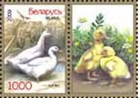 Марки "Утки + купон", "Гуси + купон"