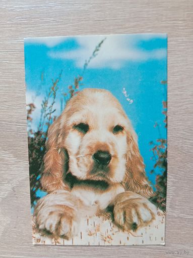 Календарик 1993