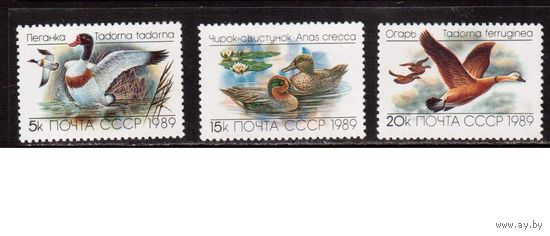 СССР-1989, (Заг.6017-6019)  ** , Фауна, Утки
