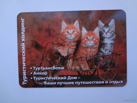 Календарик 2015 г. Туристический холдинг.