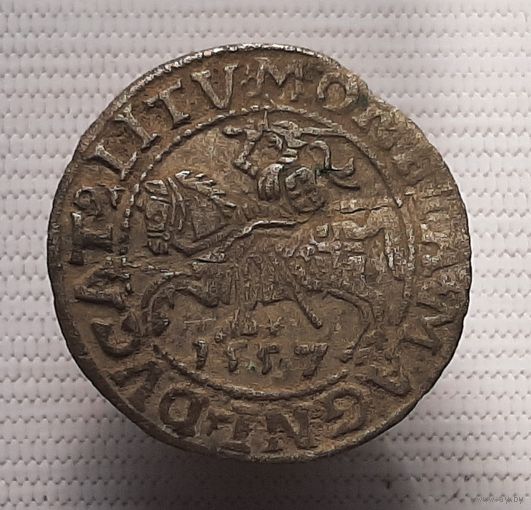 Полугрош  1557 года.