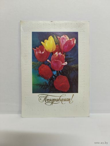 Открытка б/у, 1983г. Поздравляем! Фото Г. Костенко. 14