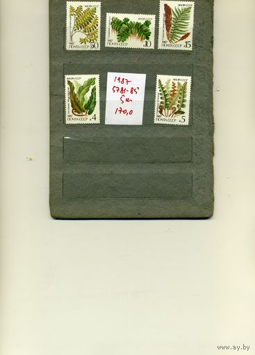 СССР, 1987, ПАПОРОТНИКИ, серия 5м, ( на "СКАНЕ" справочно приведены номера и цены по ЗАГОРСКОМУ)