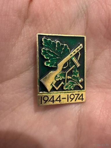 30 лет освобождения Беларуси значок