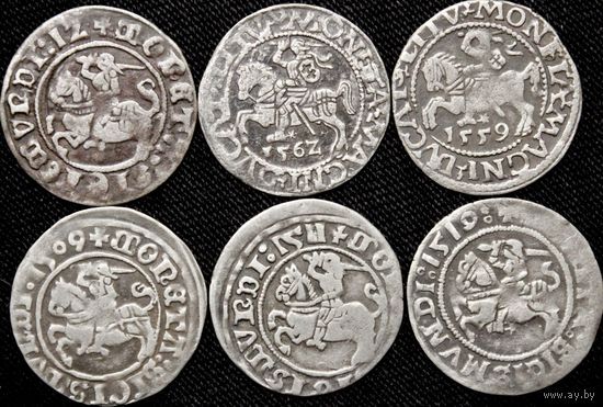 Полугроши 1509-1562 г. Вильно (Великое Княжество Литовское). Одним лотом!