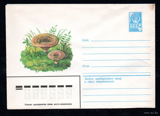 Художественный маркированный конверт СССР N 13464 (25.04.1979) Рыжик