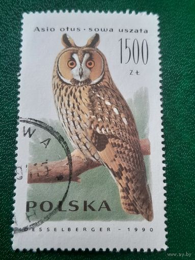 Польша 1990. Ушастая сова. Марка из серии