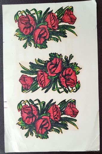 Сдвижные катинки. Заславская КПФ. 1989 г.