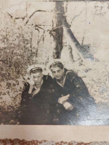 Фотография. Моряки. Балтийский флот. ВМФ СССР. 1950-е. Форма, нарукавные знаки.