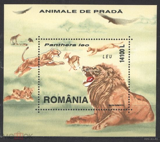 Румыния  2000 Львы фауна  MNH