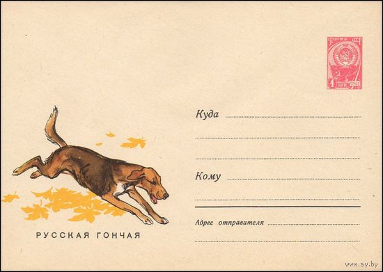 Художественный маркированный конверт СССР N 3661 (22.03.1965) Русская гончая