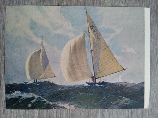 1954. спорт. Калниньш. Балтийская регата
