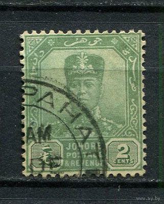 Малайские штаты - Джохор - 1922/1940 - Султан Ибрагим 2С - [Mi.87] - 1 марка. Гашеная.  (Лот 29GP)-T41P28
