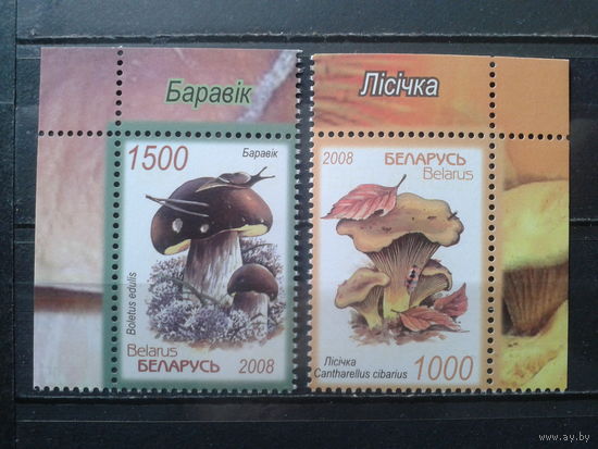 2008 Грибы** угол Полная серия