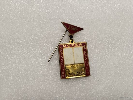 Польша ПТУ Лучший ученик