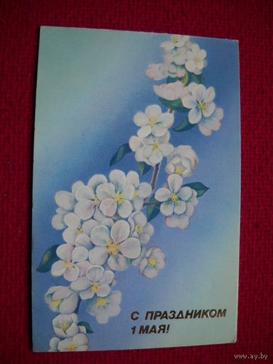1 Мая! Панкин. Двойная. 1988 г.