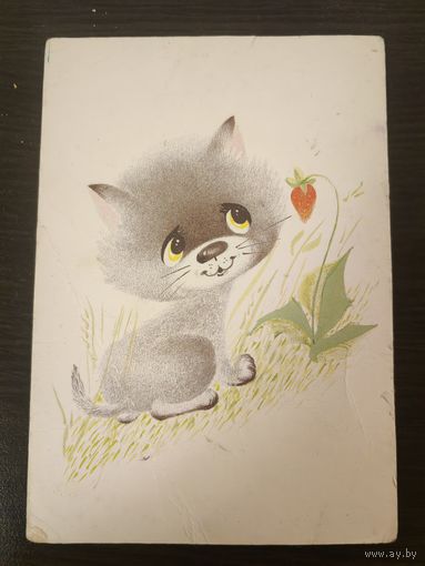 Открытка котенок