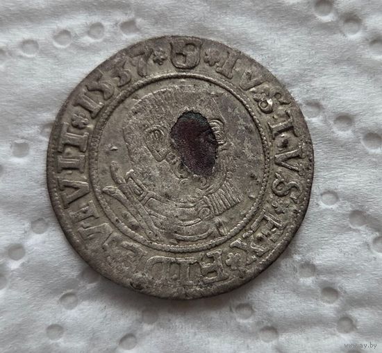 Пруссия грош 1537