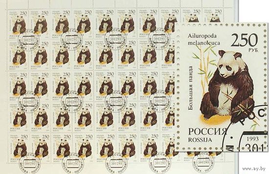 3. Марки России сцепка 50 штук "Большая панда" 1993 год
