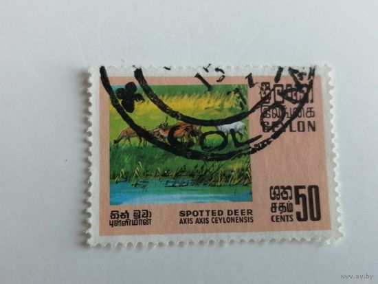 Цейлон 1970. Дикая природа