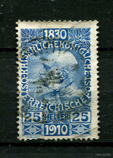 Австро-Венгрия - 1910 - Император Франц Иосиф I - 25H - [Mi.169] - 1 марка. Гашеная.  (Лот 64BV)