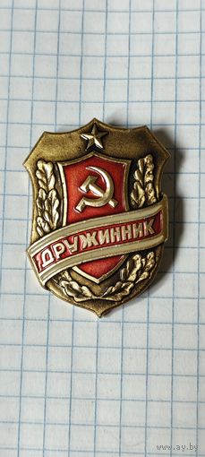 Дружинник