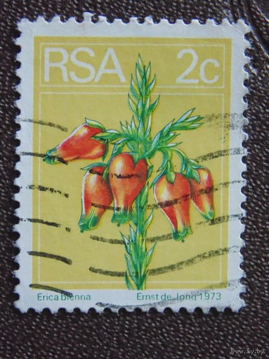 ЮАР 1973 г. Цветы.