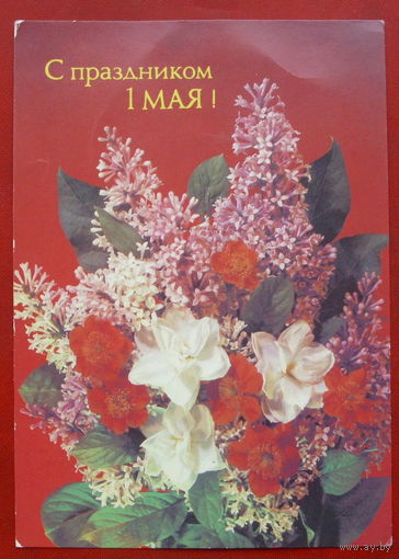 1 мая! Чистая. 1988 года. Дергилева. *274.