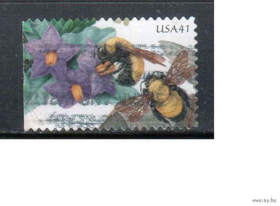 США-2007 (Мих.4243  BD) , гаш., Фауна, Флора, Цветы, Пчелы